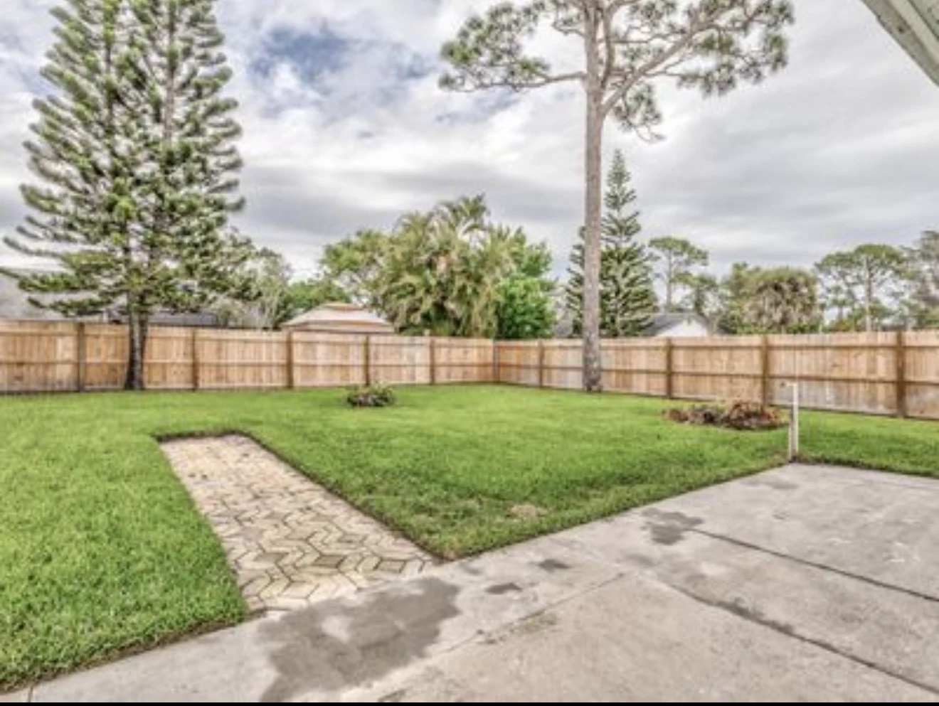 An early view of Alicia’s backyard garden